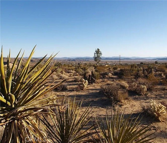 Front Image Thumbnail for CRSB26071847