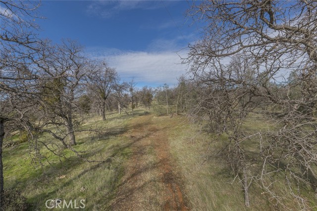 Detail Gallery Image 7 of 72 For 5408 E Whitlock Rd, Mariposa,  CA 95338 - 3 Beds | 2 Baths