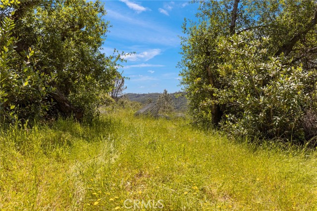 Detail Gallery Image 23 of 33 For 1978 Oregon Gulch Rd, Oroville,  CA 95965 - 3 Beds | 2 Baths