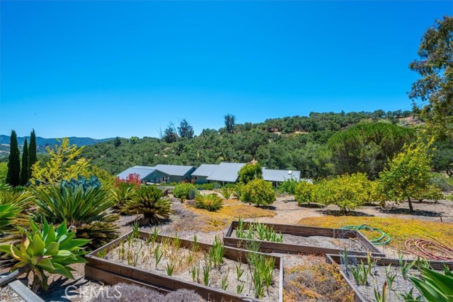 229 Blue Sky Drive, Arroyo Grande CA: https://media.crmls.org/medias/62c45ed4-0228-43e3-95f4-c6c11a19e9f9.jpg