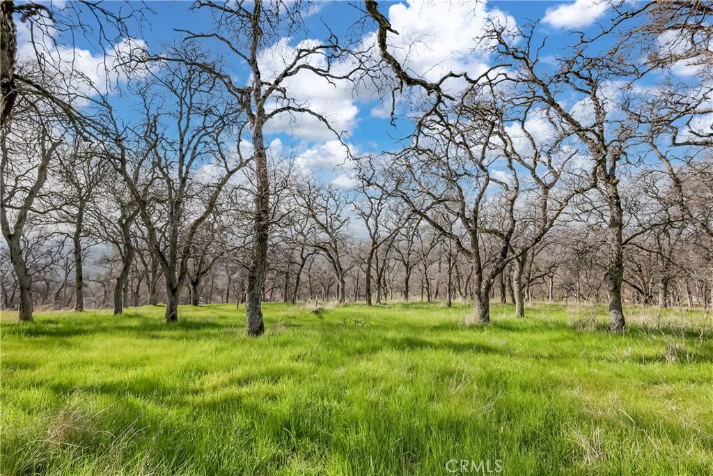 https://media.crmls.org/medias/62c4f4ef-2ec8-4eda-828d-46076eca38ec.jpg?preset=X-Large
