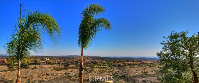 Image 2 for 6 Coastal Canyon Dr, Newport Coast, CA 92657