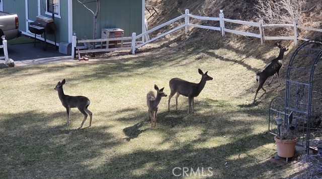 Detail Gallery Image 48 of 57 For 5180 Lone Pine Canyon, Wrightwood,  CA 92397 - 4 Beds | 2 Baths