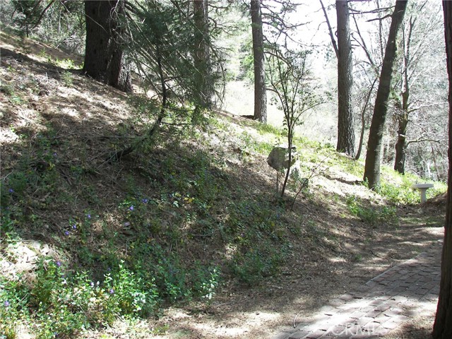 Detail Gallery Image 73 of 73 For 21636 Sawpit Canyon, Cedarpines Park,  CA 92322 - 3 Beds | 2 Baths