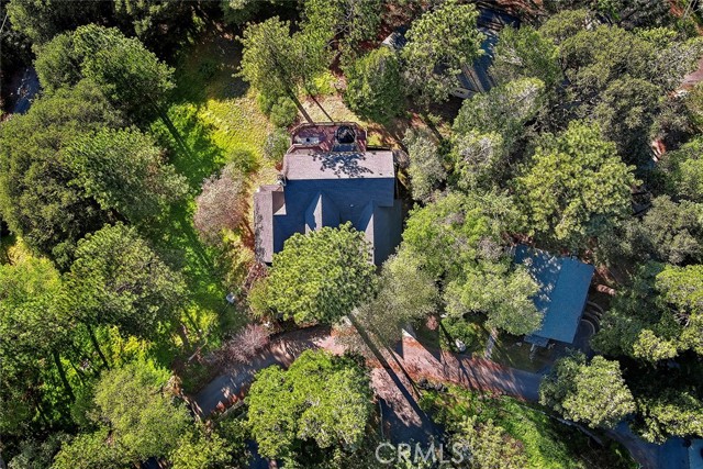 176 Pine Ridge Road, Crestline CA: https://media.crmls.org/medias/62edaaa4-ff6a-423f-92f6-42e1275032dd.jpg