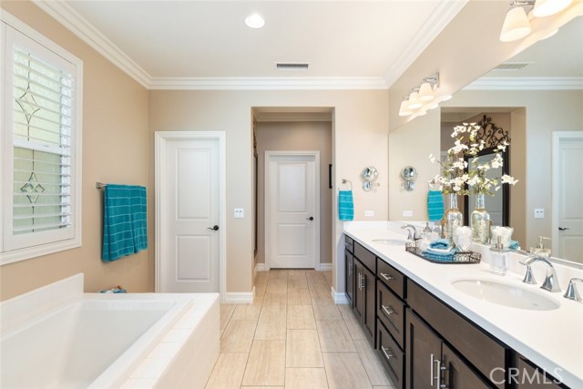 Downstairs Master Bath