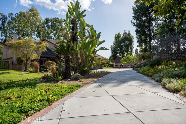 amazing custom driveway