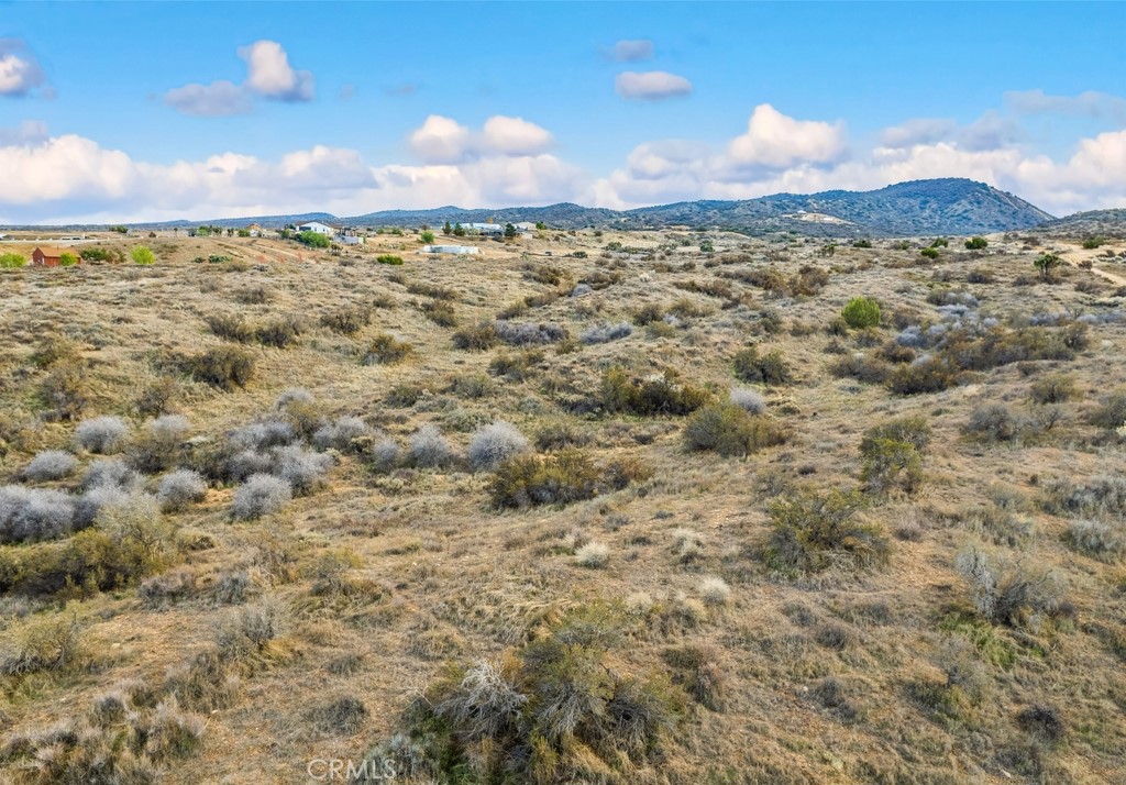 MLS #IV25256430 image #7