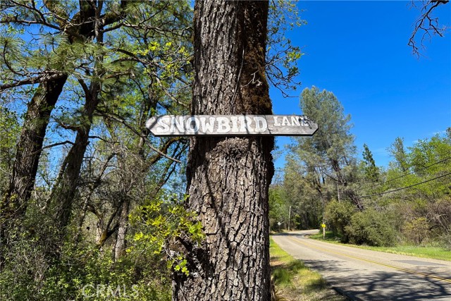 Detail Gallery Image 7 of 29 For 21138 Big Oak Ln, Lakehead,  CA 96051 - – Beds | – Baths