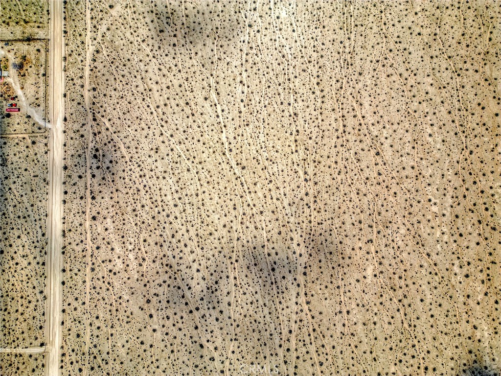 MLS #JT25253211 image #21