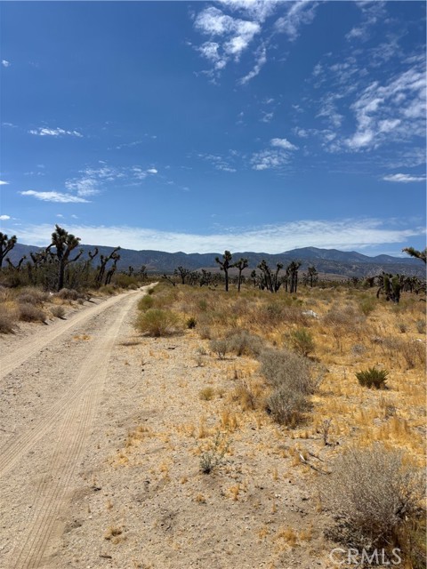  Land for Sale in Black Butte, California
