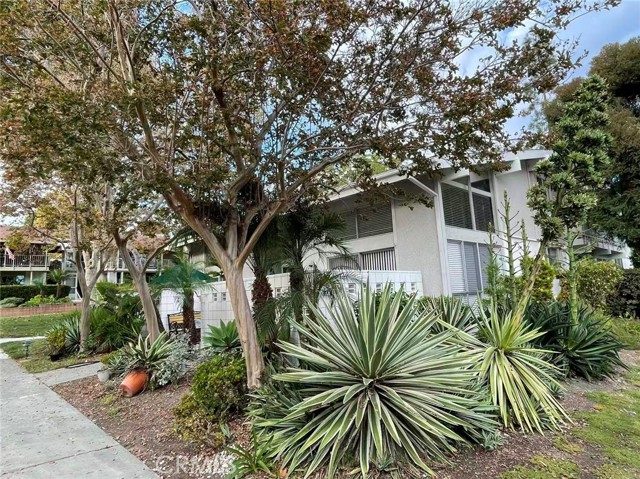 Front Image Thumbnail for CROC25264686