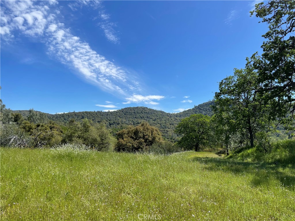 MLS #MP25096218 image #8