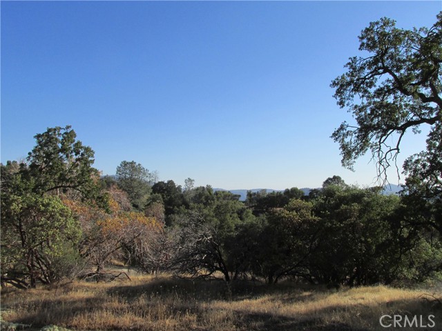 Detail Gallery Image 14 of 54 For 2 Ac Old Oaks Ct, North Fork,  CA 93643 - – Beds | – Baths