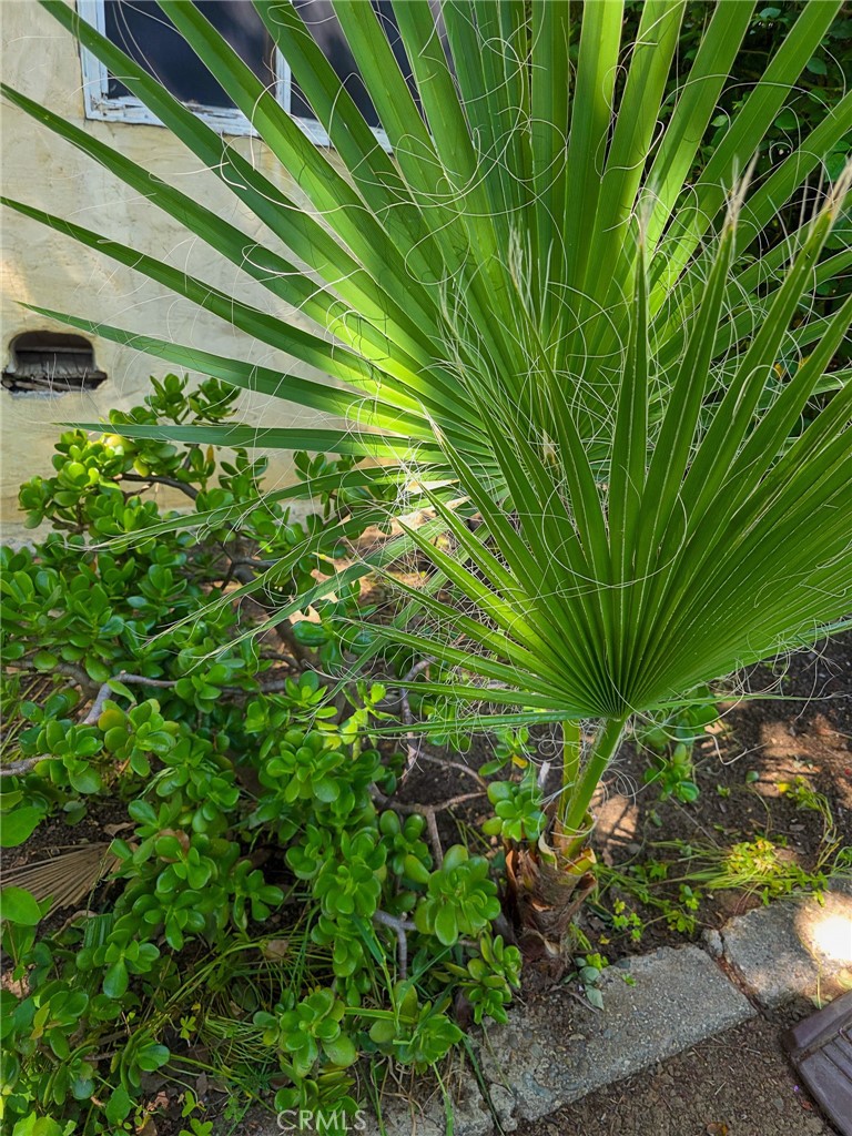 https://media.crmls.org/medias/63069ec7-02f1-42d8-8716-5fca5d2db3e4.jpg?preset=X-Large