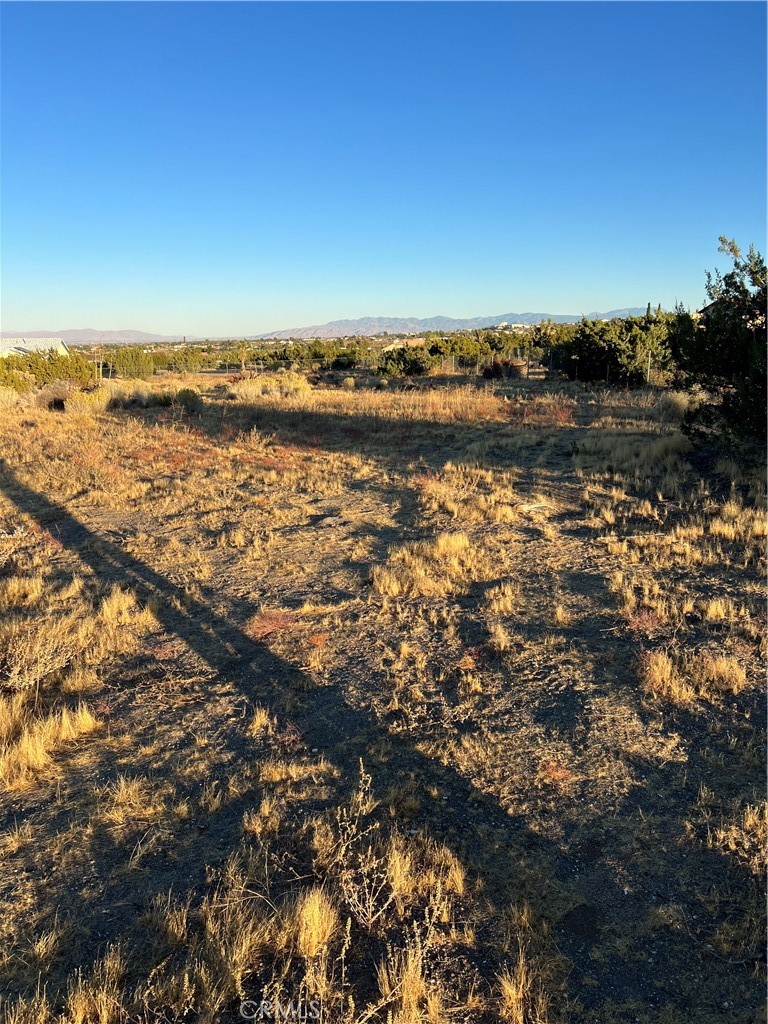 MLS #IV24232960 image #1