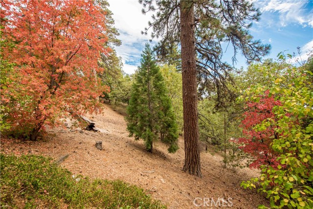 24 Fredalba, Running Springs, CA 92382