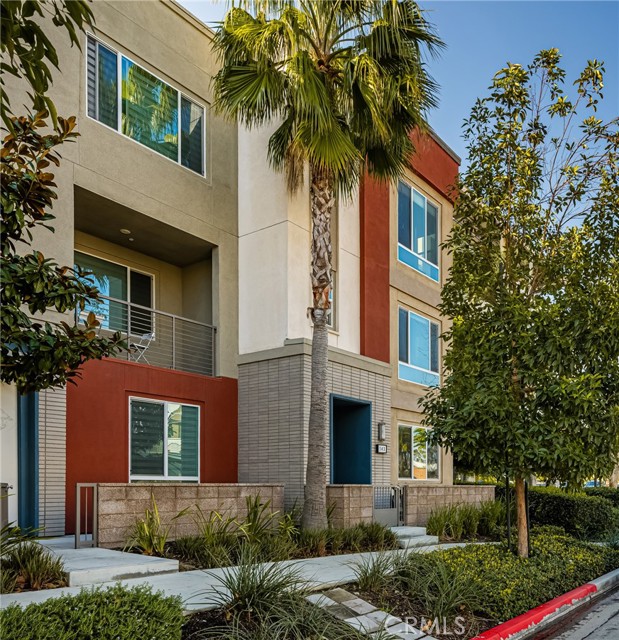 Front Image Thumbnail for CROC26055487