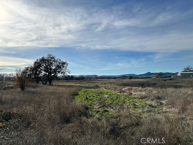 Detail Gallery Image 15 of 18 For 6965 Hammond Ave, Upper Lake,  CA 95485 - – Beds | – Baths