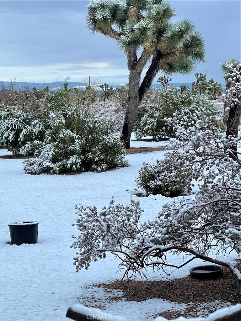 630D2927 6B4C 4269 8Aeb 6Bafa8128B40 59019 Pueblo Trail, Yucca Valley, Ca 92284 &Lt;Span Style='BackgroundColor:transparent;Padding:0Px;'&Gt; &Lt;Small&Gt; &Lt;I&Gt; &Lt;/I&Gt; &Lt;/Small&Gt;&Lt;/Span&Gt;