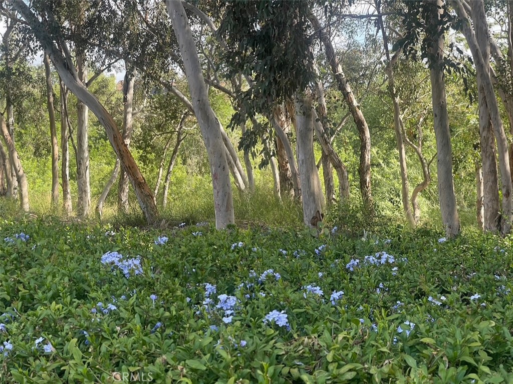 https://media.crmls.org/medias/6311adf2-1987-43da-9019-d4322bc26c47.jpg?preset=X-Large