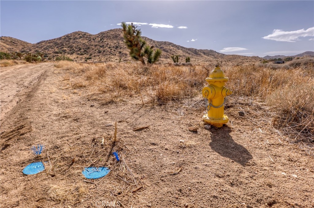 MLS #JT25046600 image #29