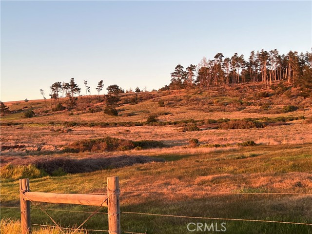 0 Drake Street, Cambria, California 93428, ,Land,For Sale,0 Drake Street,CRSC23018257