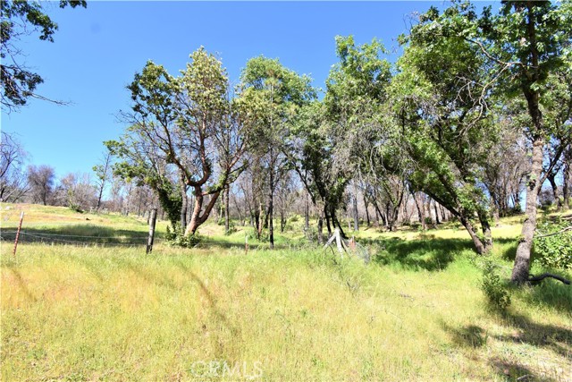 197 Edgehill Drive, Oroville, California 95966, ,Land,For Sale,197 Edgehill Drive,CROR22073384