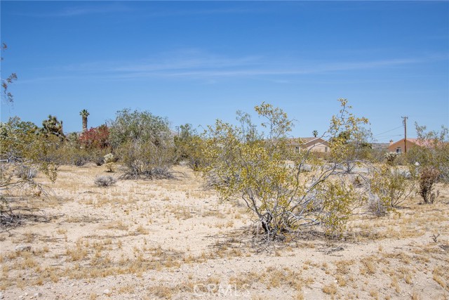 Detail Gallery Image 4 of 15 For 63000 Jadeite St, Joshua Tree,  CA 92252 - – Beds | – Baths