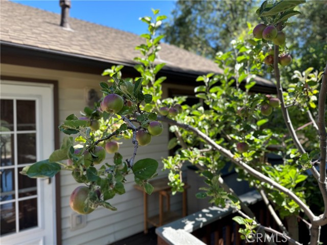 489 Dorn Drive, Crestline CA: https://media.crmls.org/medias/632016e6-cad1-4e8f-a311-2062f6cc5384.jpg