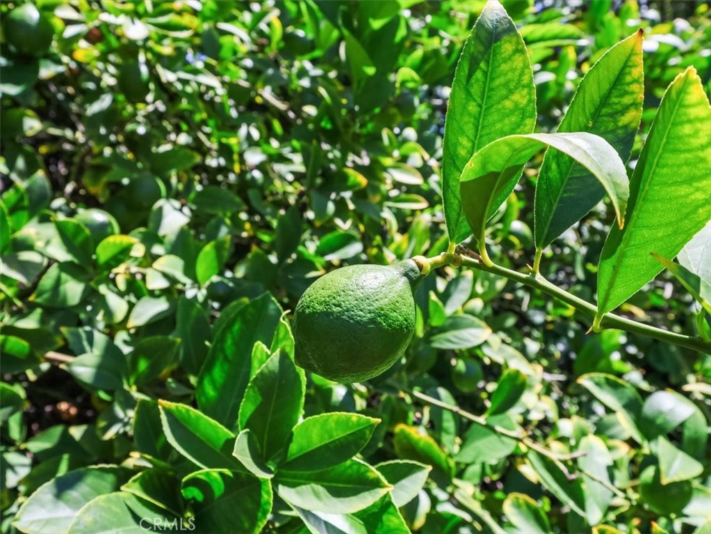 https://media.crmls.org/medias/6323cebe-8073-4097-9b3d-7fa72715a8c2.jpg?preset=X-Large