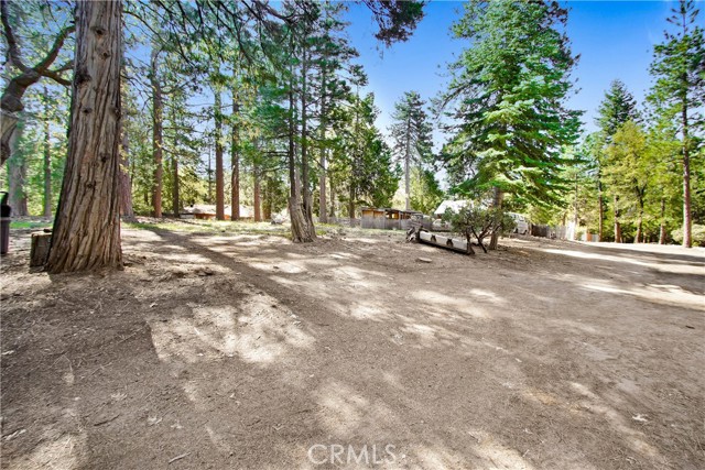 Detail Gallery Image 1 of 20 For 0 Pine Ridge Rd, Idyllwild,  CA 92548 - – Beds | – Baths