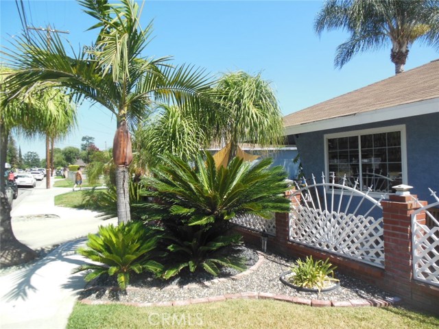 Main house front yard