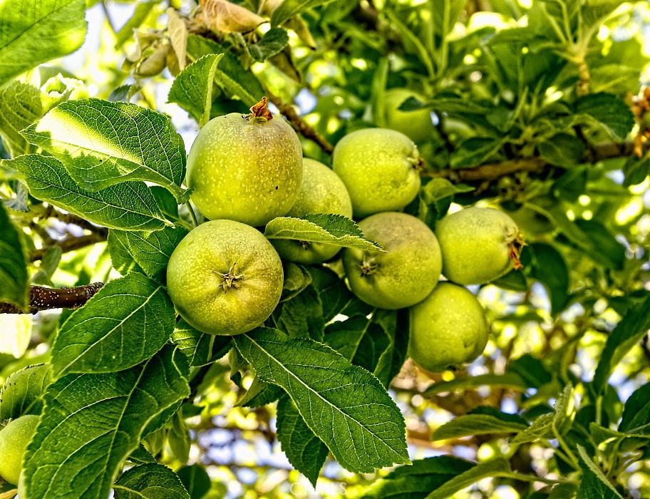 https://media.crmls.org/medias/6328f381-1d75-45d9-a072-ec2a31db738b.jpg?preset=X-Large