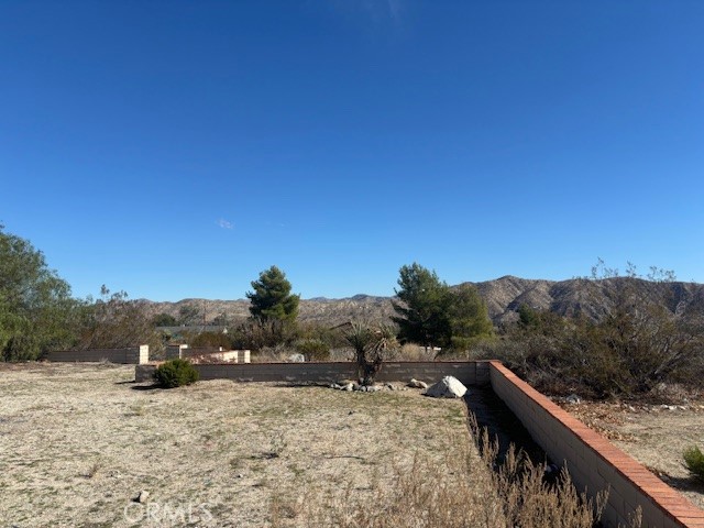 MLS #JT25263914 image #7