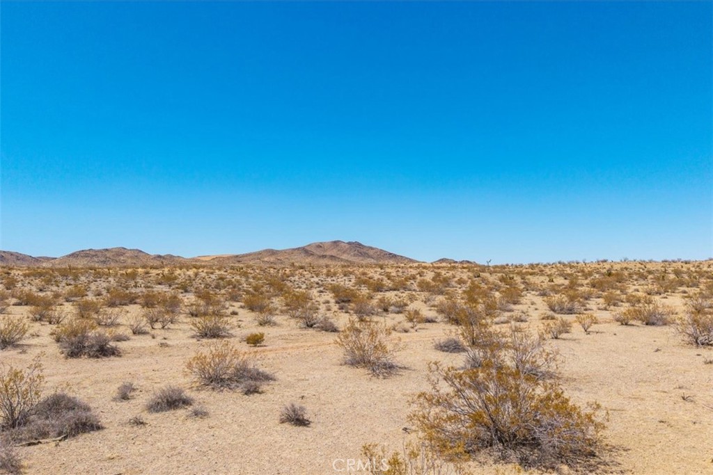 MLS #JT25173166 image #13