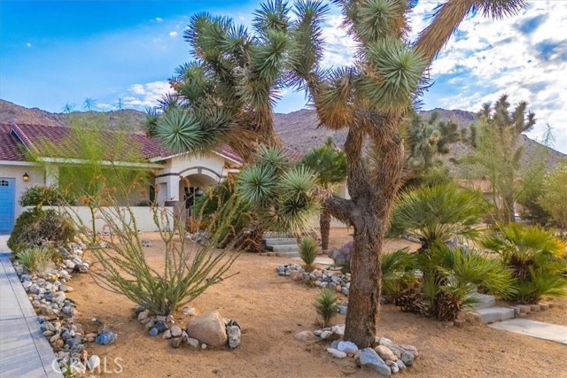 Detail Gallery Image 8 of 69 For 60555 Onaga Trl, Joshua Tree,  CA 92252 - 4 Beds | 2/1 Baths