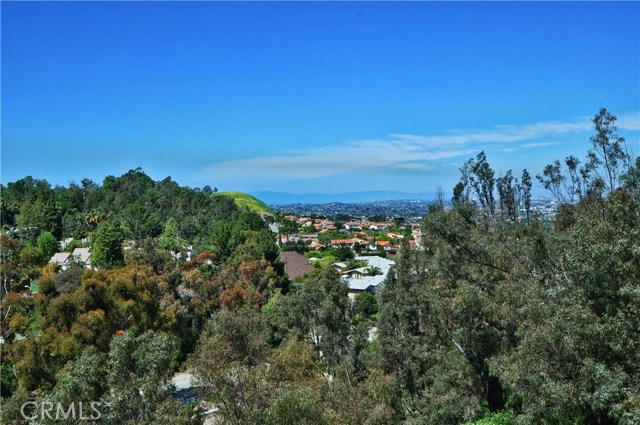 3463 Tanglewood Lane, Rolling Hills Estates, California 90274, 9 Bedrooms Bedrooms, ,6 BathroomsBathrooms,Residential,Sold,Tanglewood,PV17073762