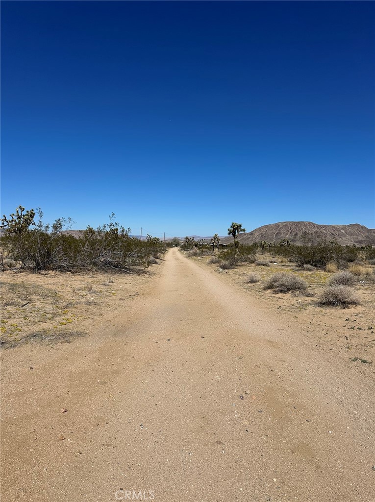 MLS #IV25254922 image #9