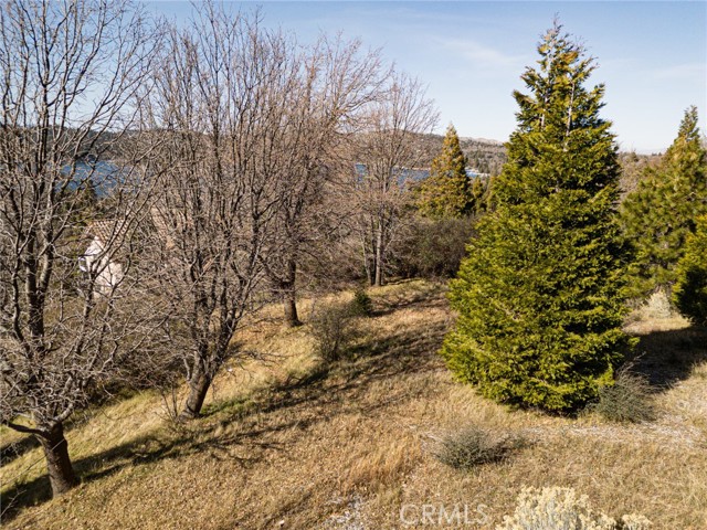 Detail Gallery Image 10 of 19 For 137 Mill Pond, Lake Arrowhead,  CA 92352 - – Beds | – Baths