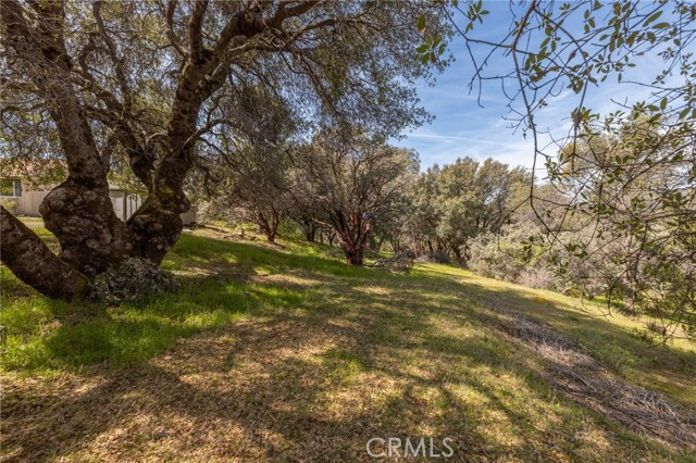 Detail Gallery Image 48 of 62 For 33030 Road 233, North Fork,  CA 93643 - 3 Beds | 2 Baths