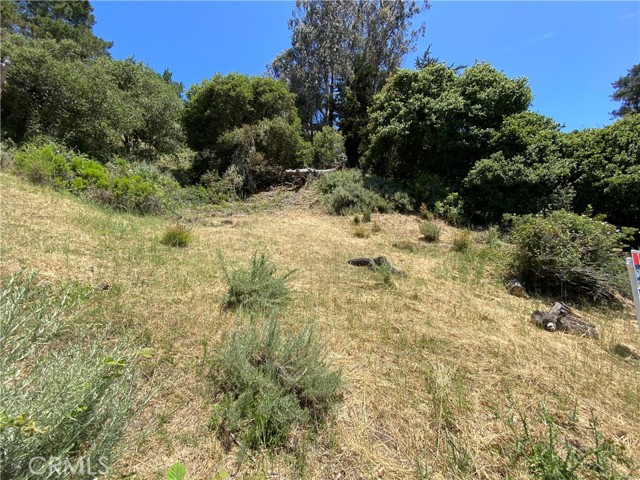Detail Gallery Image 2 of 9 For 0 Kent St, Cambria,  CA 93428 - – Beds | – Baths