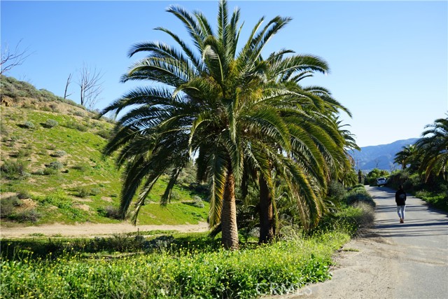 1 Palm Drive, Lake Elsinore, California 92530, ,Land,For Sale,1 Palm Drive,CROC22241753