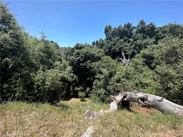 0 Oak Mountain Drive, Yucaipa, California 92399, ,Land,For Sale,0 Oak Mountain Drive,CRIG23148050