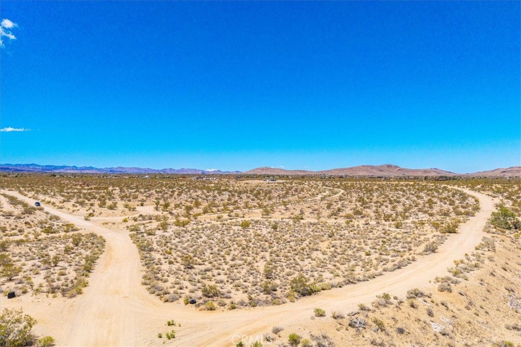 MLS #JT25107809 image #1