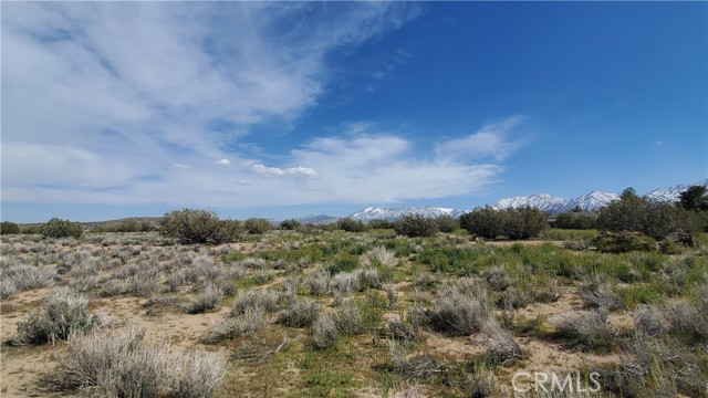 Detail Gallery Image 19 of 31 For 0 123rd St East Near Ave X8, –,  CA 93553 - – Beds | – Baths