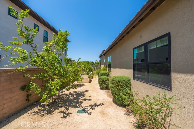 33621 Paseo Eternidad, San Juan Capistrano CA: https://media.crmls.org/medias/6365e6d6-b954-4231-9791-517d2a33b8fd.jpg