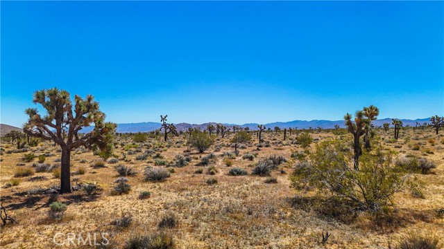Detail Gallery Image 31 of 48 For 2155 Balsa Ave, Yucca Valley,  CA 92284 - – Beds | – Baths
