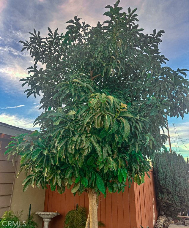 Detail Gallery Image 56 of 56 For 2425 Heather Ave, Long Beach,  CA 90815 - 3 Beds | 3 Baths