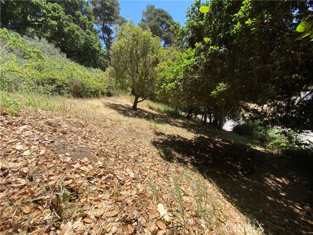 Detail Gallery Image 7 of 9 For 0 Kent St, Cambria,  CA 93428 - – Beds | – Baths